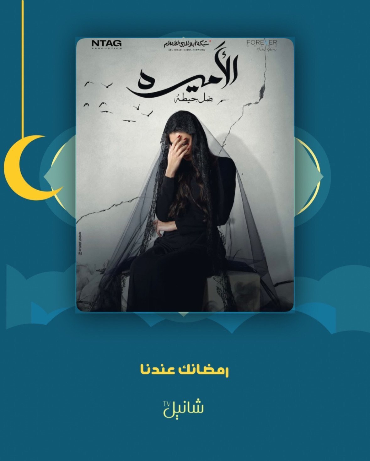 مسلسل الاميرة: ضل حيطة – الحلقة 15 الأخيرة