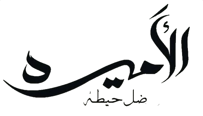 مسلسل الاميرة: ضل حيطة – الحلقة 14 الرابعة عشر